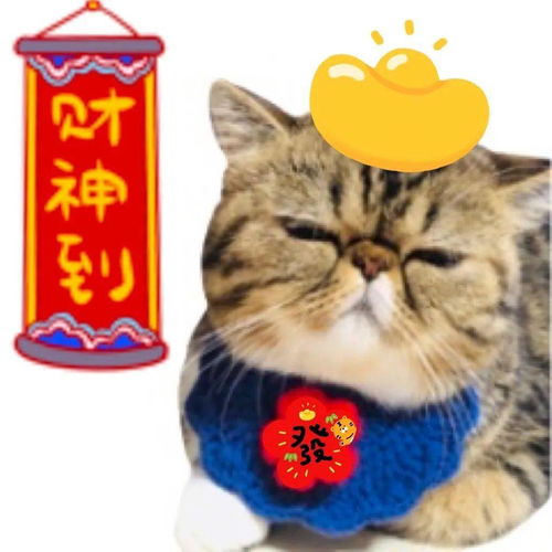 快过年了,你该入手哪些毛孩表情包