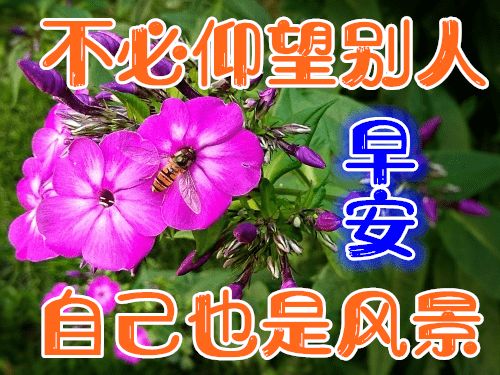 12月3日最新早上好祝福语大全,早上好问候语句子