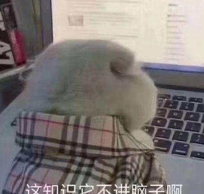 我与高考的故事,高考前一晚你经历过煎熬吗