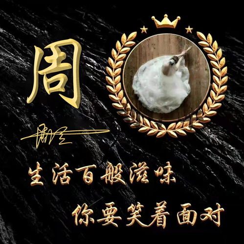 2022你的微信头像该换了,新款情侣卡通个性签名头像,你留言我制作