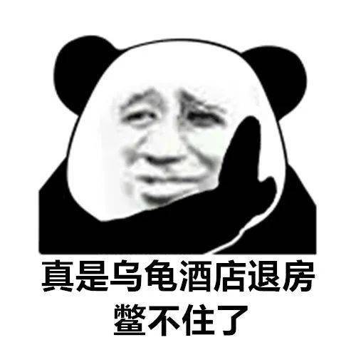 熊猫歇后语表情包,给爷整笑了