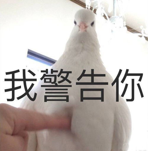 无水印沙雕表情包十几岁我好累我在沙漠跳芭蕾