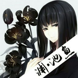 精选原创