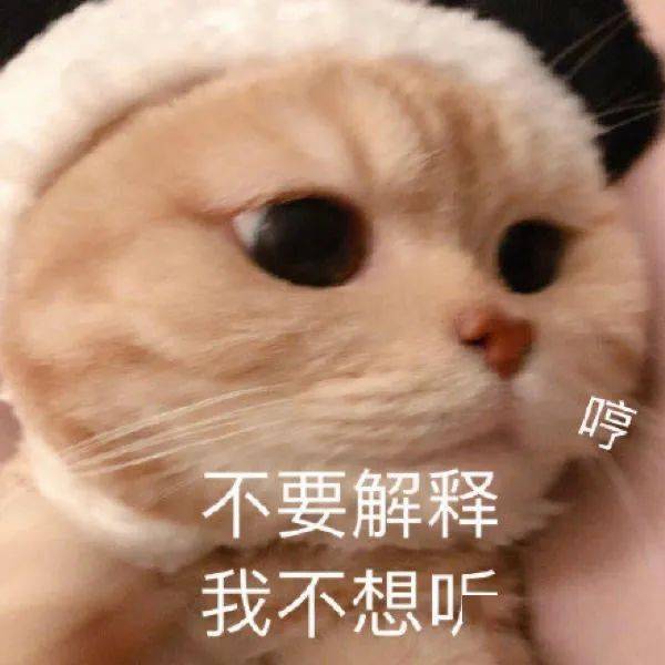 生图绝美的金晨,回头瞪眼却把发际线瞪飞了