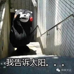 独得恩宠体火了,总有那么一句戳中你的内心