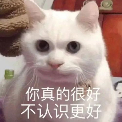 搞笑表情包怎么画开心一刻