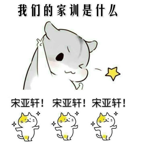 请问台风少年团宋亚轩有哪些好玩的表情包吗