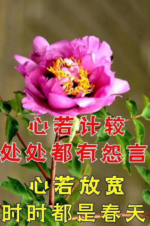 早上好搞笑表情包早上好