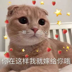 聊天不秒回,没事,用这个表情包怼她,啊哒,这个表情包看着好有趣
