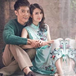 洪欣hungcatherine洪欣图片洪欣个人资料洪欣最新消息