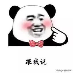 熊猫表情包06