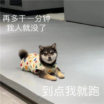 各种搞笑搞怪表情包合集全都很实用又好笑的表情大全