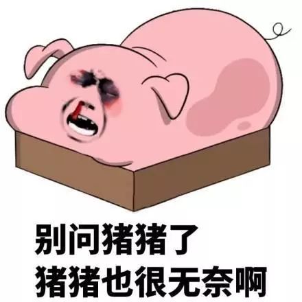 涨姿势告诉你什么叫御龙城会玩