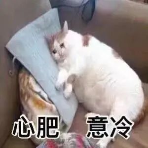 沙雕表情包谁懂宝心里的苦