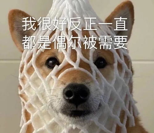 gif动图有哪些沙雕又搞怪的朋友圈文案