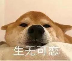 结婚5年亲家没见过面,papi酱又一次让人惊呆了,你同意她的婚恋观吗