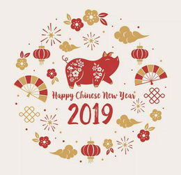 麦玲玲2019猪年生肖运程书转运必看