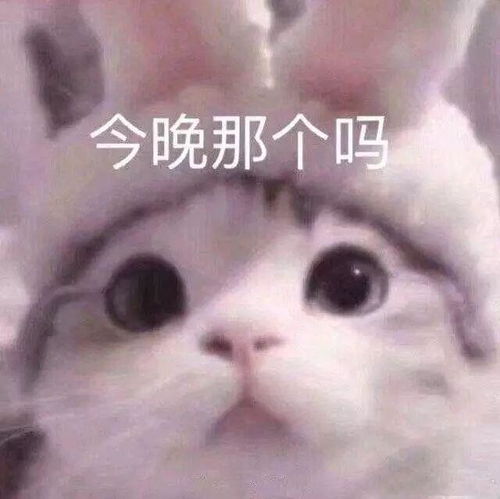 有什么特别有趣的表情包嘛