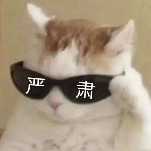 注意8月1日起施行