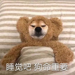 2019最常用的有趣搞笑表情合集微信群聊天必备表情