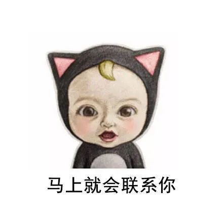 表情包不爱我的后果我怕你承担不起