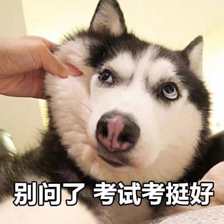 推荐一波中国春节要红包好玩的表情包