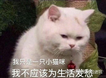 你见过最有意思的mod是什么