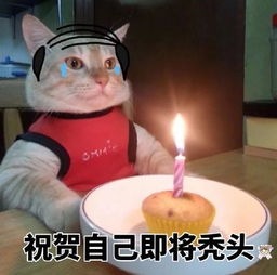 生日蛋糕表情包合集祝你生日快乐