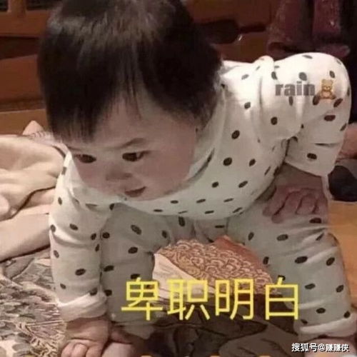 搞笑表情包图片沉重的打鸡,你住口