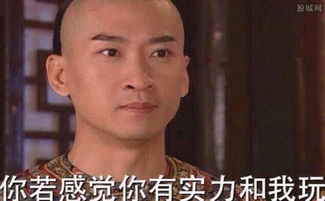 尔康雪姨葛优躺,暑播神剧产表情包更出演技派