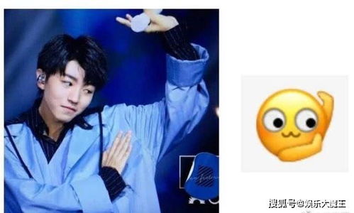 懒理被肖战拉下水质疑,王俊凯晒帅气照片撞脸柴犬表情包,引人爆笑