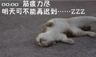 上海人,公司要求每天提前半小时到岗算加班吗