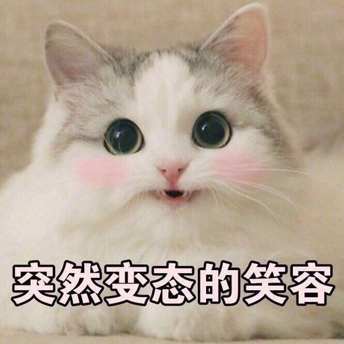 乱七八糟表情包