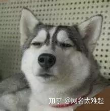 搞笑狗狗表情包眉毛
