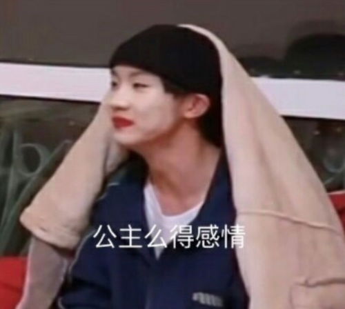 马嘉祺搞笑表情包崽崽
