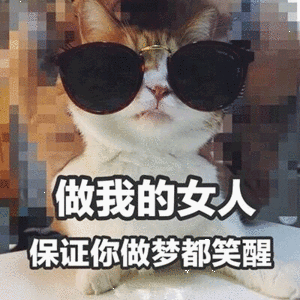 那些情侣聊天常用的表情包关于过节