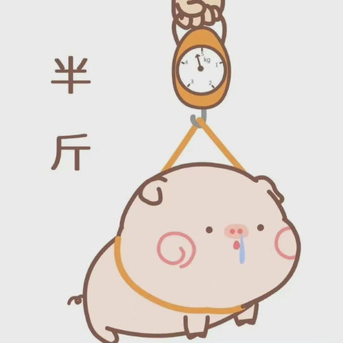 或许可以用到的头像