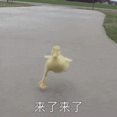搞笑沙雕表情包,爱你们哦,拿图吱一声