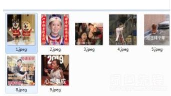 搞笑表情真人拜年