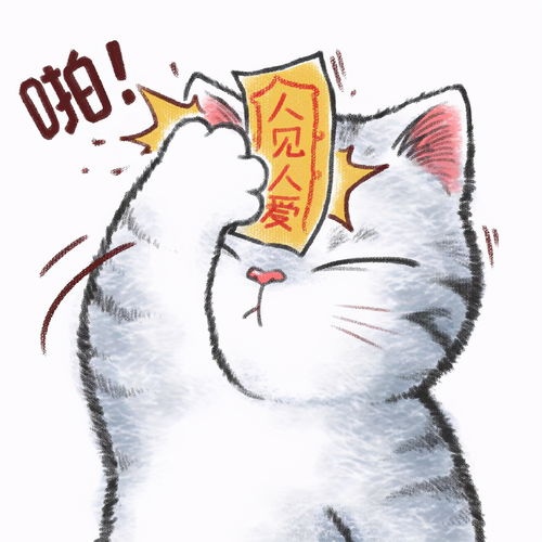 可爱的猫咪为你祈福,新的一年八张祈福符咒,前任暴毙是什么鬼