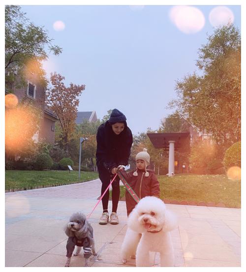 麦迪娜更博晒生活照,丹尼尔越长越帅气,一家三口实在太养眼