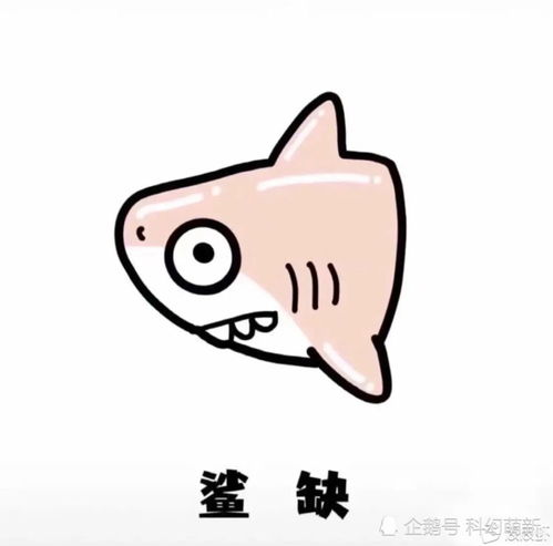 每日一笑,大家都见过什么搞笑的神评