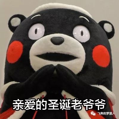 周六清晨,lets用脚步丈量虹桥机场