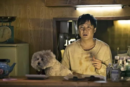 这盘龙虾刑警已备好,即将爆笑开场,待你品尝