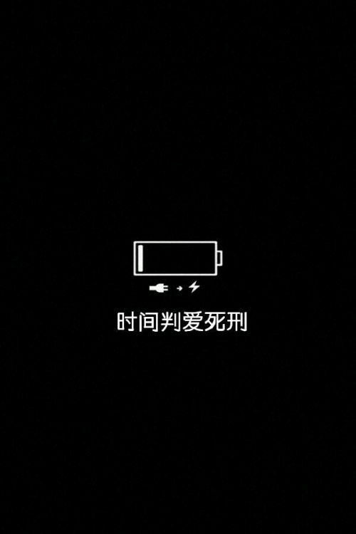 哔哩哔哩专栏