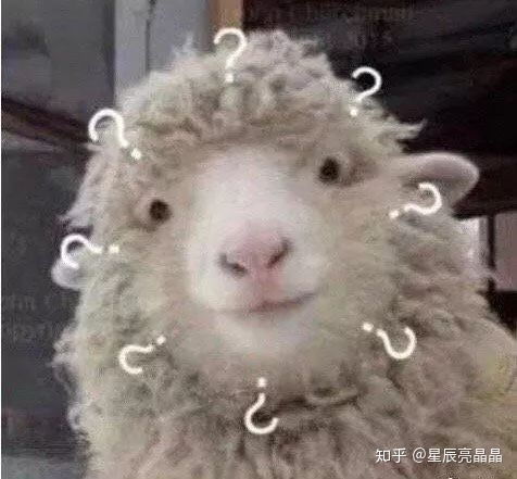大家有没有小绵羊的可爱图片