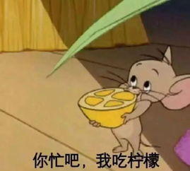 你有哪些让你一秒变开心的表情包