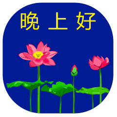 晚上好动态表情图片大全