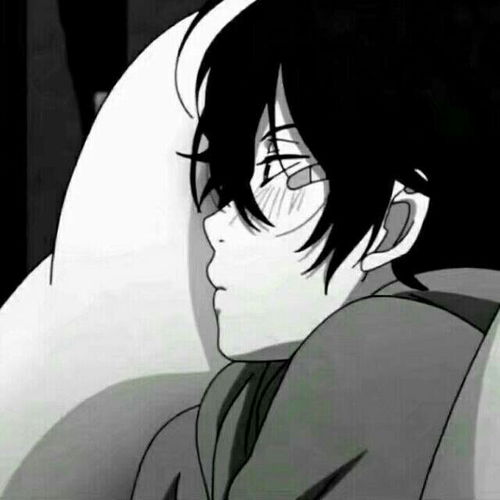 哔哩哔哩专栏