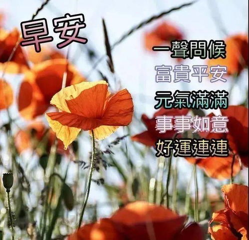 2020新版早上好吉祥短信大全微信早安图片动态早安表情包